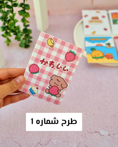 دفترچه پاسپورتی